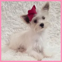 processed/1ea2d35c-3fa0-4f19-869a-fa5537790d70/listing/e65edd25-df23-4418-b22c-813a6ea12518/04e78280-2e93-4c04-b3c9-d78f7863cce7