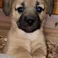 processed/1eaaf8cb-cd8d-408c-b1ec-e48cb888a8f6/facility/065a8404-3b78-4d58-b108-46ebb77b5e13