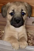 processed/1eaaf8cb-cd8d-408c-b1ec-e48cb888a8f6/facility/065a8404-3b78-4d58-b108-46ebb77b5e13