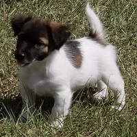 processed/1eaaf8cb-cd8d-408c-b1ec-e48cb888a8f6/facility/39c73432-bd38-4dc0-8282-a07b33e92690