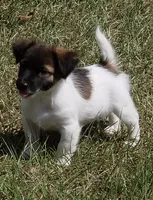 processed/1eaaf8cb-cd8d-408c-b1ec-e48cb888a8f6/facility/39c73432-bd38-4dc0-8282-a07b33e92690