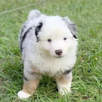 processed/1eaaf8cb-cd8d-408c-b1ec-e48cb888a8f6/facility/3cedef4f-7d7d-4bf3-be9f-671f9cc02241