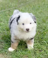 processed/1eaaf8cb-cd8d-408c-b1ec-e48cb888a8f6/facility/3cedef4f-7d7d-4bf3-be9f-671f9cc02241