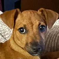 processed/1eaaf8cb-cd8d-408c-b1ec-e48cb888a8f6/facility/4a0c4c59-6d09-4ef1-a69c-750bfb175c53