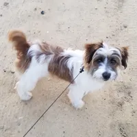 processed/1eaaf8cb-cd8d-408c-b1ec-e48cb888a8f6/facility/54545e70-f108-405c-af52-2a4a9d3460ae