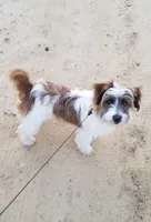 processed/1eaaf8cb-cd8d-408c-b1ec-e48cb888a8f6/facility/54545e70-f108-405c-af52-2a4a9d3460ae