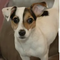 processed/1eaaf8cb-cd8d-408c-b1ec-e48cb888a8f6/facility/5b5bf1f1-87db-4de8-897d-f9669453ff90