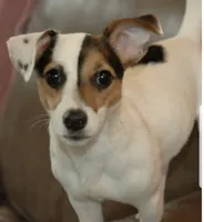 processed/1eaaf8cb-cd8d-408c-b1ec-e48cb888a8f6/facility/5b5bf1f1-87db-4de8-897d-f9669453ff90