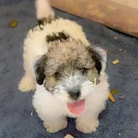 processed/1eaaf8cb-cd8d-408c-b1ec-e48cb888a8f6/facility/bbfe3af5-1339-4e1e-be38-2be2dc00c34f