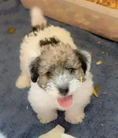 processed/1eaaf8cb-cd8d-408c-b1ec-e48cb888a8f6/facility/bbfe3af5-1339-4e1e-be38-2be2dc00c34f