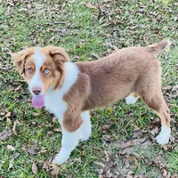 processed/1eaaf8cb-cd8d-408c-b1ec-e48cb888a8f6/facility/cac6bfc8-a1fe-4073-a6fa-0547a702e549