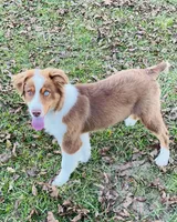 processed/1eaaf8cb-cd8d-408c-b1ec-e48cb888a8f6/facility/cac6bfc8-a1fe-4073-a6fa-0547a702e549