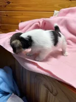 processed/1eaaf8cb-cd8d-408c-b1ec-e48cb888a8f6/listing/13e10bc9-5c12-49bf-8760-932fec975457/13a607a1-0927-4cae-baf7-9a3c08ffb0d1