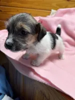 processed/1eaaf8cb-cd8d-408c-b1ec-e48cb888a8f6/listing/13e10bc9-5c12-49bf-8760-932fec975457/19a79351-ceb9-4296-b341-6f2279d5739d