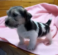 processed/1eaaf8cb-cd8d-408c-b1ec-e48cb888a8f6/listing/13e10bc9-5c12-49bf-8760-932fec975457/218741e5-4fe6-4910-ad56-225e5d773938