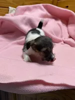 processed/1eaaf8cb-cd8d-408c-b1ec-e48cb888a8f6/listing/13e10bc9-5c12-49bf-8760-932fec975457/5f23965e-841c-440d-a7d0-d3c819dd5009