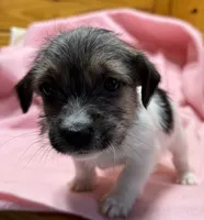 processed/1eaaf8cb-cd8d-408c-b1ec-e48cb888a8f6/listing/13e10bc9-5c12-49bf-8760-932fec975457/78c7298c-f4f1-489c-a796-c89d2640d0de