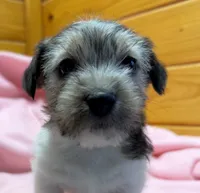 processed/1eaaf8cb-cd8d-408c-b1ec-e48cb888a8f6/listing/13e10bc9-5c12-49bf-8760-932fec975457/859bd249-c106-4f1a-bf0e-384c053c41da