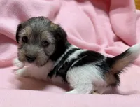 processed/1eaaf8cb-cd8d-408c-b1ec-e48cb888a8f6/listing/13e10bc9-5c12-49bf-8760-932fec975457/abb9a8e9-1990-4bd5-ada9-0d33ea1a3ec3