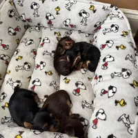 processed/1eab1f34-848d-4ecd-9cd9-df486901b378/facility/1d0044e6-0f61-45f2-99c9-f53e7422d29d