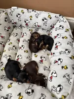 processed/1eab1f34-848d-4ecd-9cd9-df486901b378/facility/1d0044e6-0f61-45f2-99c9-f53e7422d29d