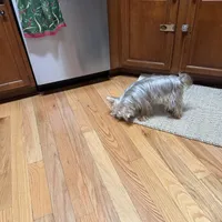 processed/1eab1f34-848d-4ecd-9cd9-df486901b378/facility/e3fc8573-dc48-4989-889d-752a81b80acb