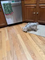 processed/1eab1f34-848d-4ecd-9cd9-df486901b378/facility/e3fc8573-dc48-4989-889d-752a81b80acb