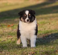 processed/1eac7662-c4c5-4c38-bf73-b9d98dd67bab/listing/0802b862-98cb-46a1-aef8-01912deae63e/29bf5a5a-e642-4e0a-a815-7433753b8eb0