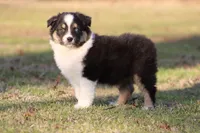 processed/1eac7662-c4c5-4c38-bf73-b9d98dd67bab/listing/0802b862-98cb-46a1-aef8-01912deae63e/33f4f9be-074b-4bf1-a882-6b7f9c7195e8