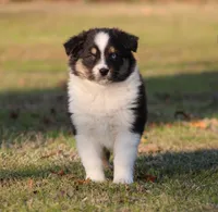 processed/1eac7662-c4c5-4c38-bf73-b9d98dd67bab/listing/0802b862-98cb-46a1-aef8-01912deae63e/45e6d53f-303b-428a-8bd6-15b49e480f9a