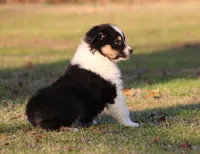 processed/1eac7662-c4c5-4c38-bf73-b9d98dd67bab/listing/0802b862-98cb-46a1-aef8-01912deae63e/5cc56026-96a2-4005-a595-ee8a89e987af