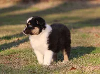 processed/1eac7662-c4c5-4c38-bf73-b9d98dd67bab/listing/0802b862-98cb-46a1-aef8-01912deae63e/66bcecf5-df2b-45f3-854e-7a60f2c69009