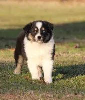 processed/1eac7662-c4c5-4c38-bf73-b9d98dd67bab/listing/0802b862-98cb-46a1-aef8-01912deae63e/cd83f40f-4cb2-4531-9b07-6233c647ed2c