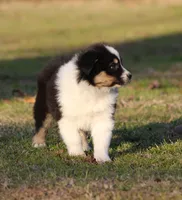 processed/1eac7662-c4c5-4c38-bf73-b9d98dd67bab/listing/0802b862-98cb-46a1-aef8-01912deae63e/e9f03098-6a99-4eaf-a64d-ec8ae30112c7