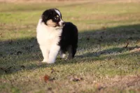 processed/1eac7662-c4c5-4c38-bf73-b9d98dd67bab/listing/0802b862-98cb-46a1-aef8-01912deae63e/ecbf8555-9512-43fd-b46d-52d31186985b