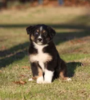 processed/1eac7662-c4c5-4c38-bf73-b9d98dd67bab/listing/0d9ef6b6-03e7-4808-800d-0a4c834f8d3f/1643fecc-f80b-4edd-b581-51e27d1b33a4