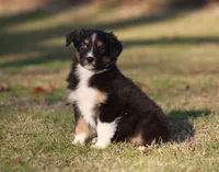 processed/1eac7662-c4c5-4c38-bf73-b9d98dd67bab/listing/0d9ef6b6-03e7-4808-800d-0a4c834f8d3f/2c3a1a24-6e22-458a-839c-a0105e8a3dad