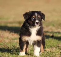 processed/1eac7662-c4c5-4c38-bf73-b9d98dd67bab/listing/0d9ef6b6-03e7-4808-800d-0a4c834f8d3f/4b00777c-0ce5-430f-9aaf-bfbb534a8b2b