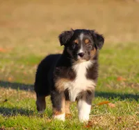 processed/1eac7662-c4c5-4c38-bf73-b9d98dd67bab/listing/0d9ef6b6-03e7-4808-800d-0a4c834f8d3f/5047c796-9a81-40f2-8554-f08e21f477e8