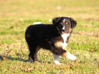 processed/1eac7662-c4c5-4c38-bf73-b9d98dd67bab/listing/0d9ef6b6-03e7-4808-800d-0a4c834f8d3f/5858df6c-c898-4106-afc5-6207725ff09c