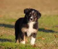 processed/1eac7662-c4c5-4c38-bf73-b9d98dd67bab/listing/0d9ef6b6-03e7-4808-800d-0a4c834f8d3f/677d0a4a-2300-4e0d-a3de-ac5585cf5e7d