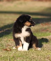 processed/1eac7662-c4c5-4c38-bf73-b9d98dd67bab/listing/0d9ef6b6-03e7-4808-800d-0a4c834f8d3f/7c0fadf2-5af9-4a22-a101-1a3acae26ee4