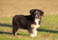 processed/1eac7662-c4c5-4c38-bf73-b9d98dd67bab/listing/0d9ef6b6-03e7-4808-800d-0a4c834f8d3f/ae593bb0-de76-41b3-a386-d5fc43b8bc10