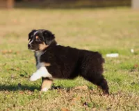 processed/1eac7662-c4c5-4c38-bf73-b9d98dd67bab/listing/0d9ef6b6-03e7-4808-800d-0a4c834f8d3f/db2bc640-26bd-47c8-920b-d14f91887a5d