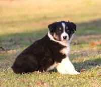 processed/1eac7662-c4c5-4c38-bf73-b9d98dd67bab/listing/1f3ec217-2eab-48d6-a198-5baf717d92e4/0b1ca856-83c0-4768-b86c-6625a22f423a