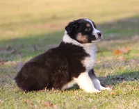 processed/1eac7662-c4c5-4c38-bf73-b9d98dd67bab/listing/1f3ec217-2eab-48d6-a198-5baf717d92e4/bce93b18-82db-454b-9b22-8dd830c7622e