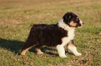 processed/1eac7662-c4c5-4c38-bf73-b9d98dd67bab/listing/1f3ec217-2eab-48d6-a198-5baf717d92e4/c470c1f2-bb32-44ab-9387-46445d6e31c6