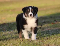 processed/1eac7662-c4c5-4c38-bf73-b9d98dd67bab/listing/1f3ec217-2eab-48d6-a198-5baf717d92e4/dfe39ba2-ed8b-49c6-aa4f-000f82c5be4c