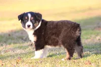 processed/1eac7662-c4c5-4c38-bf73-b9d98dd67bab/listing/1f3ec217-2eab-48d6-a198-5baf717d92e4/fc4ef7b0-584b-4584-bc51-e4f144ce6dca