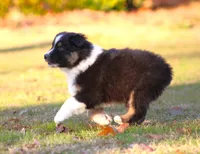 processed/1eac7662-c4c5-4c38-bf73-b9d98dd67bab/listing/905232bf-ddfa-4ffd-add1-44a5ea81bd74/75fe9129-6c60-487c-8344-dc16c2123336